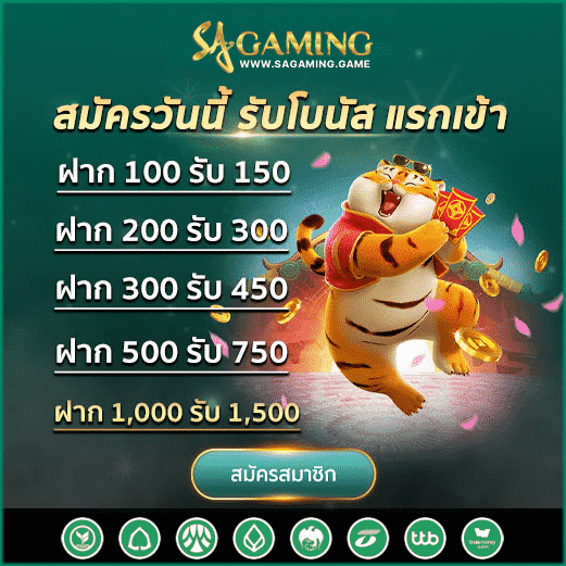 DG Casino